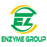 Enzyme Group