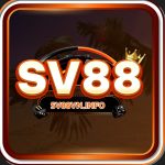 SV88vn info