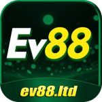 ev88 cái